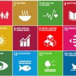 SDGs-microsite-article