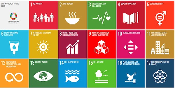 SDGs-microsite-article